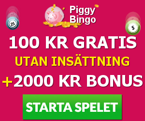 piggy bingo bonus