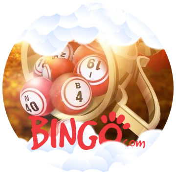 bingo.com 2018